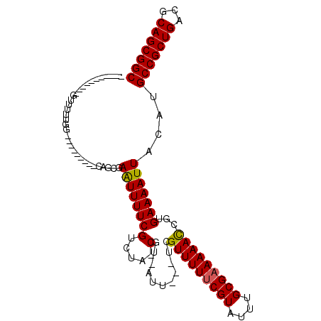 secondary structure