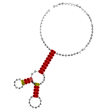secondary structure