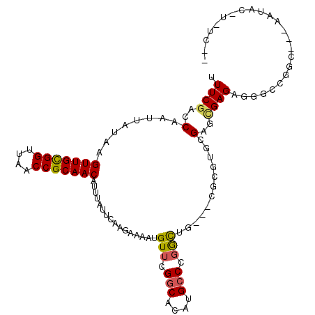 secondary structure