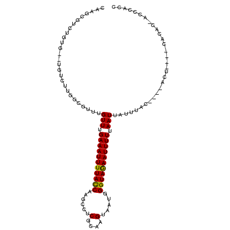 secondary structure