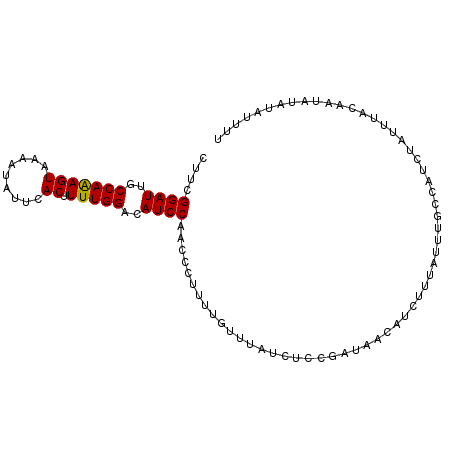 secondary structure