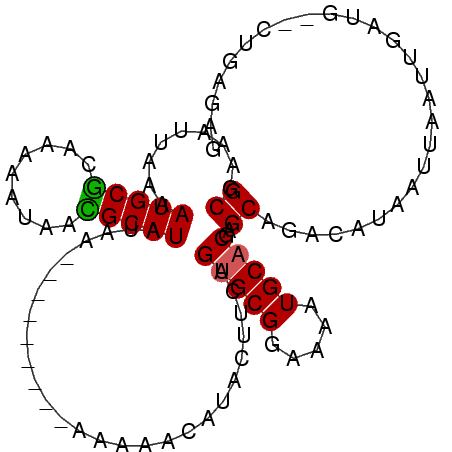 secondary structure