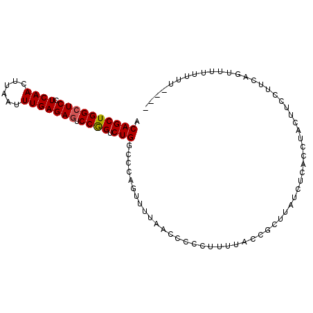 secondary structure