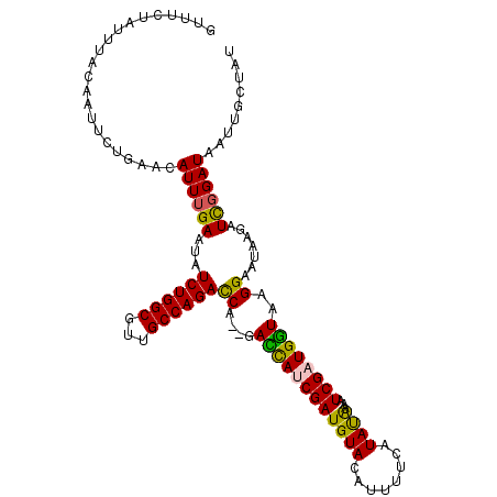 secondary structure