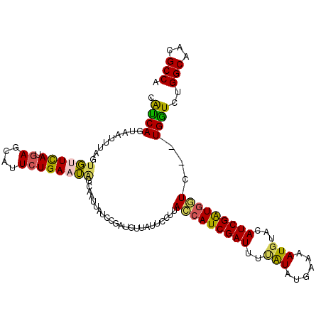 secondary structure