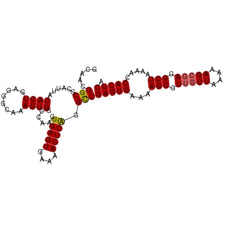 secondary structure