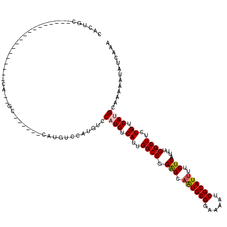 secondary structure