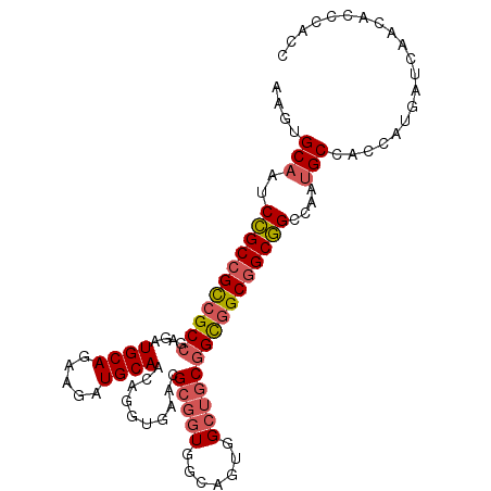 secondary structure