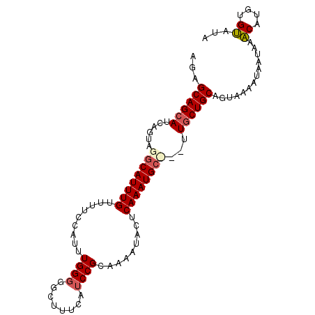 secondary structure