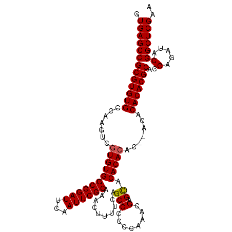 secondary structure