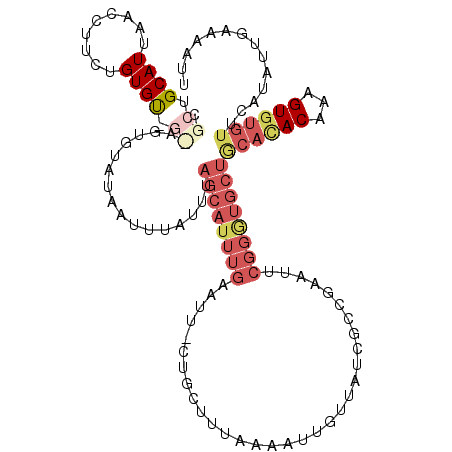 secondary structure
