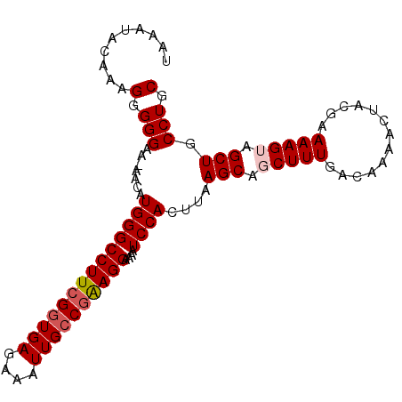 secondary structure