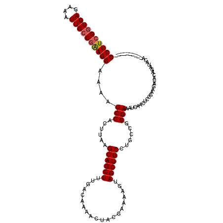 secondary structure