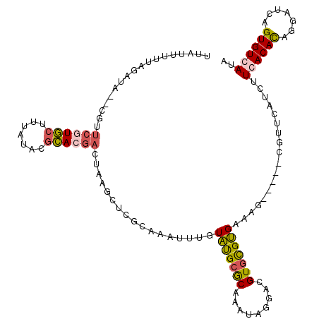 secondary structure