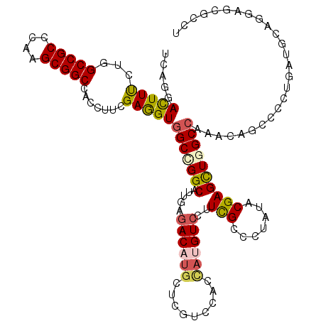 secondary structure