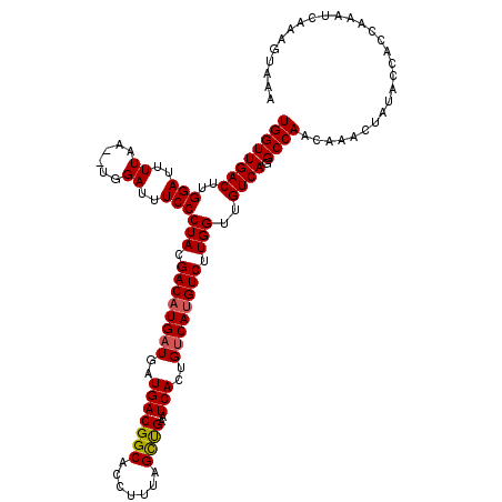 secondary structure