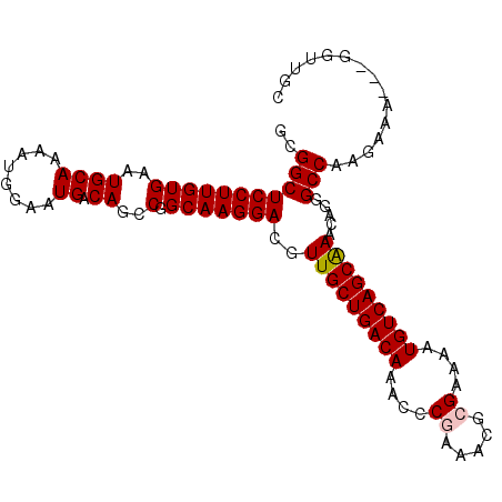 secondary structure