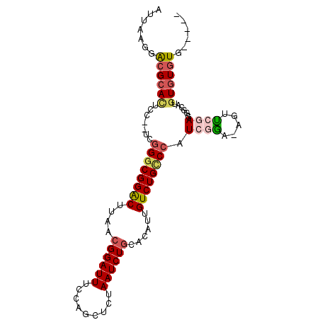 secondary structure