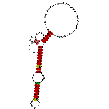secondary structure
