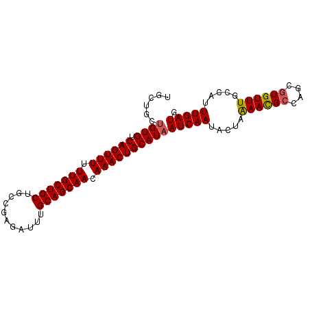 secondary structure