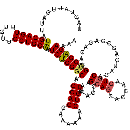 secondary structure
