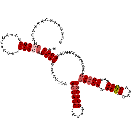 secondary structure