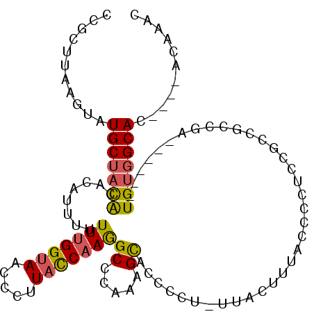 secondary structure