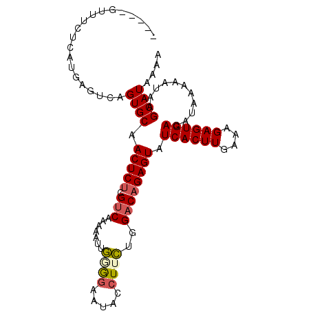secondary structure