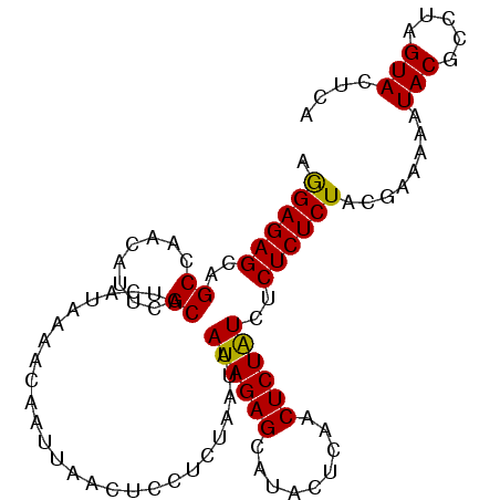 secondary structure