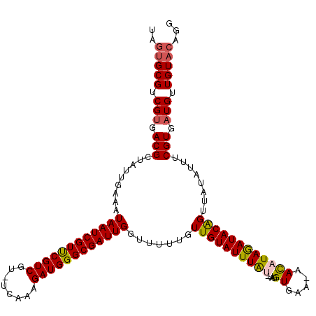 secondary structure