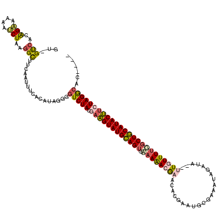 secondary structure