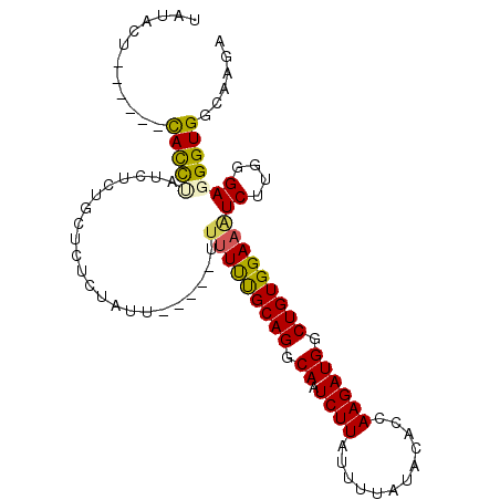 secondary structure