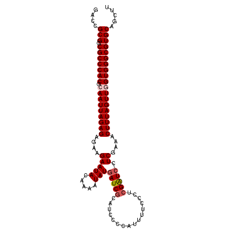 secondary structure