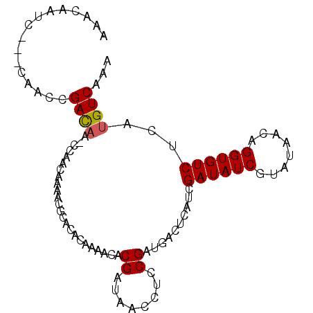 secondary structure