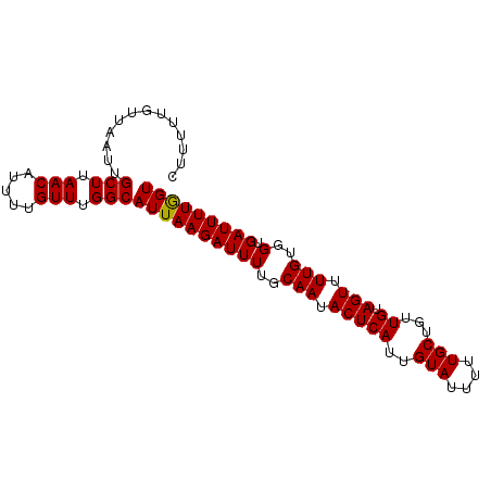 secondary structure