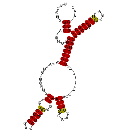 secondary structure