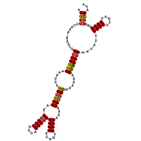 secondary structure