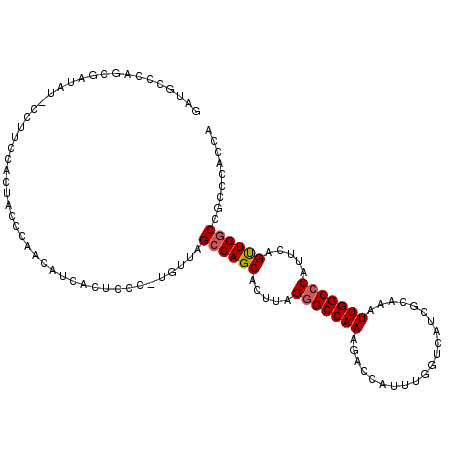 secondary structure
