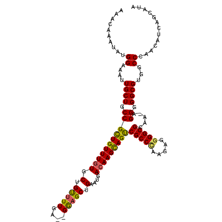 secondary structure