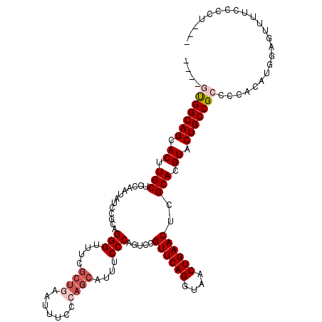 secondary structure