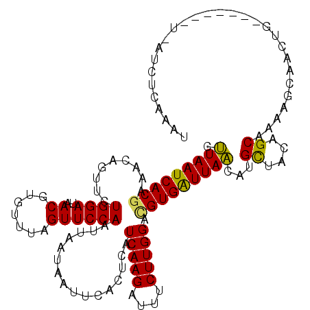 secondary structure