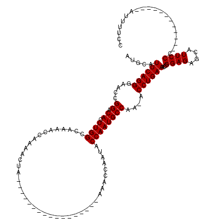 secondary structure