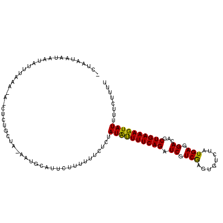 secondary structure
