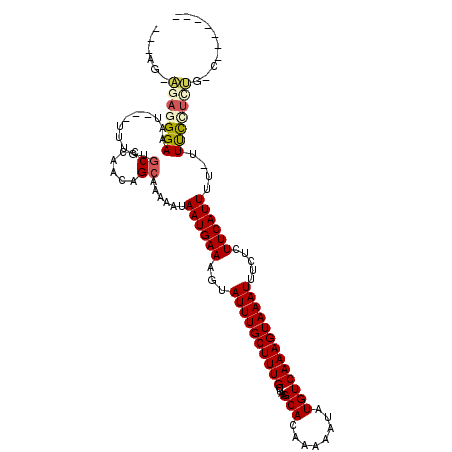 secondary structure