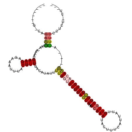secondary structure