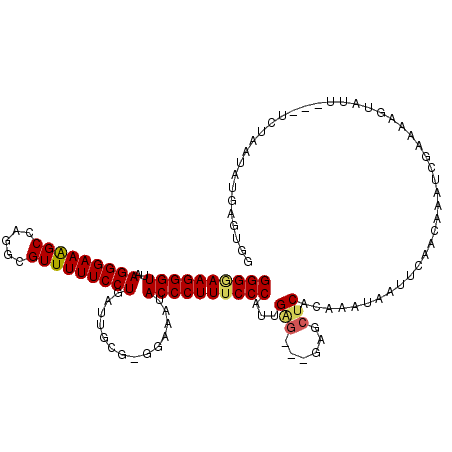 secondary structure
