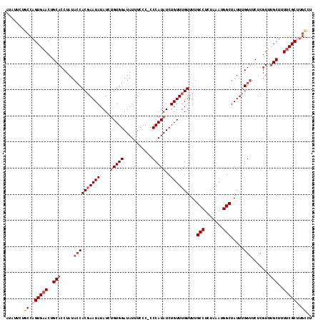 dotplot