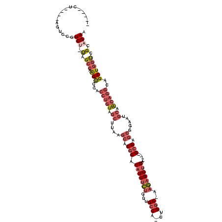 secondary structure