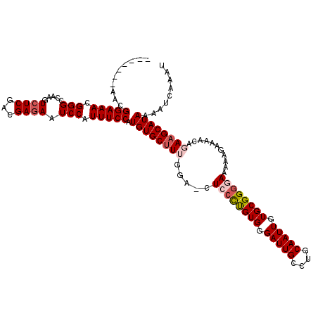 secondary structure