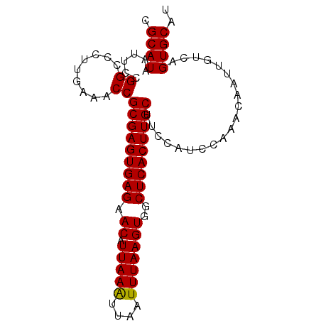 secondary structure